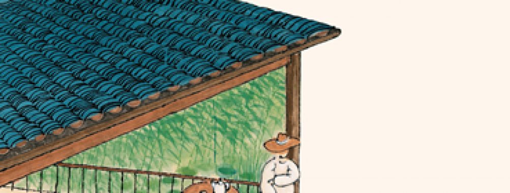 草木知己:苋菜满庭芳