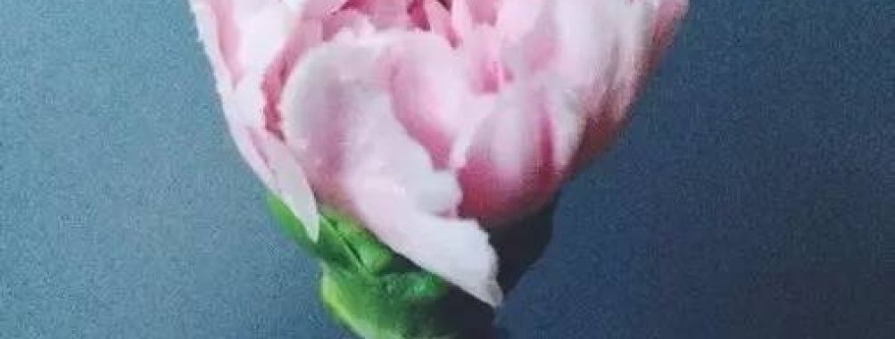 唤醒你的女性能量|【征集活动】