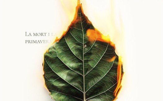 谋爱先谋生，爱人先爱己