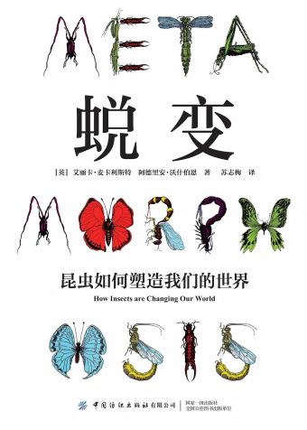 从麻花辫到法医鉴定，昆虫塑造和改变了世界
