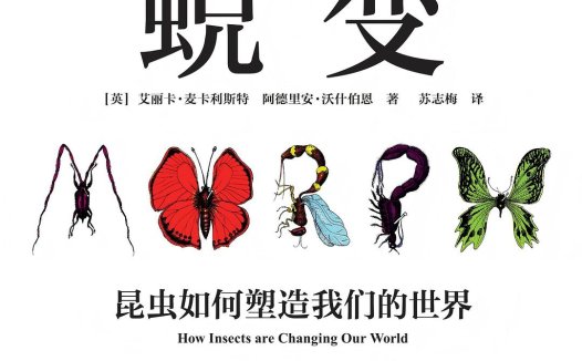 从麻花辫到法医鉴定，昆虫塑造和改变了世界