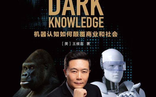 既不可感受也不能表达的“暗知识”